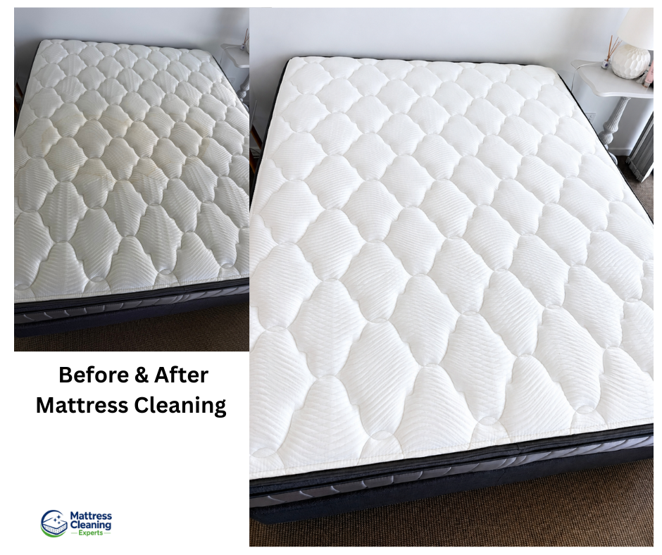 Pristine Pad Mattress Cleaning (7)