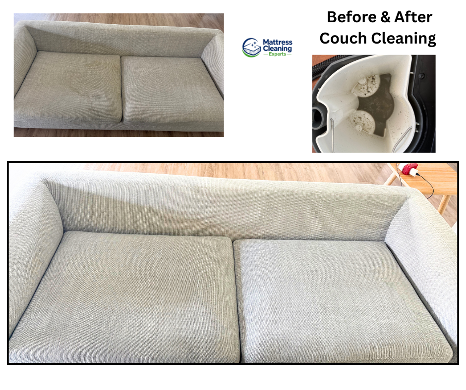 Sofa Clean - Pristine Pad (7)